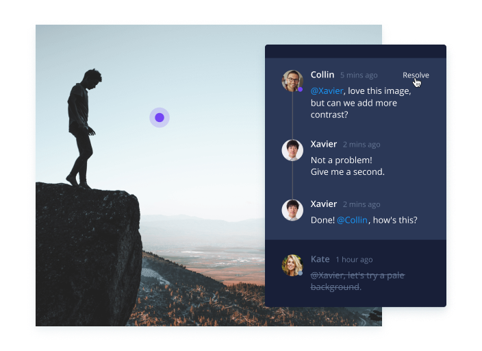 Wrike-Proofing and commenting