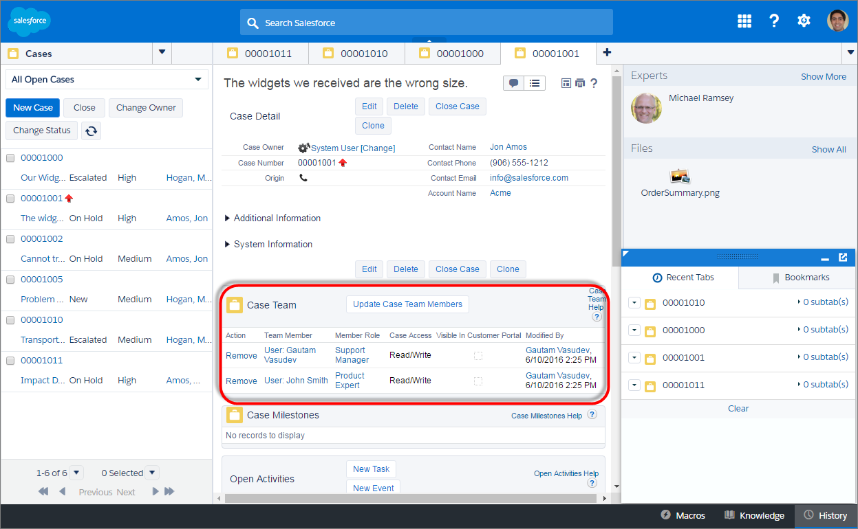 Salesforce Service Cloud: Case Management